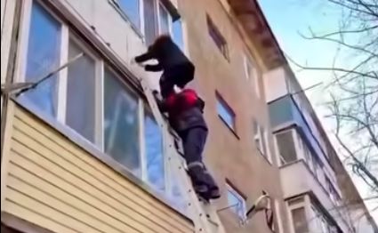 В Караганде 10-летний мальчик повис на балконе, пытаясь спасти кошку