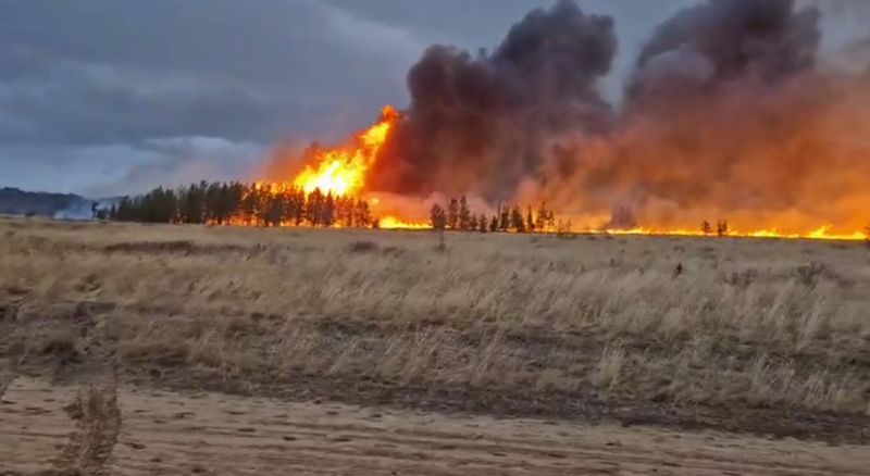 Причиной большого пожара в Павлодарской области стала птица