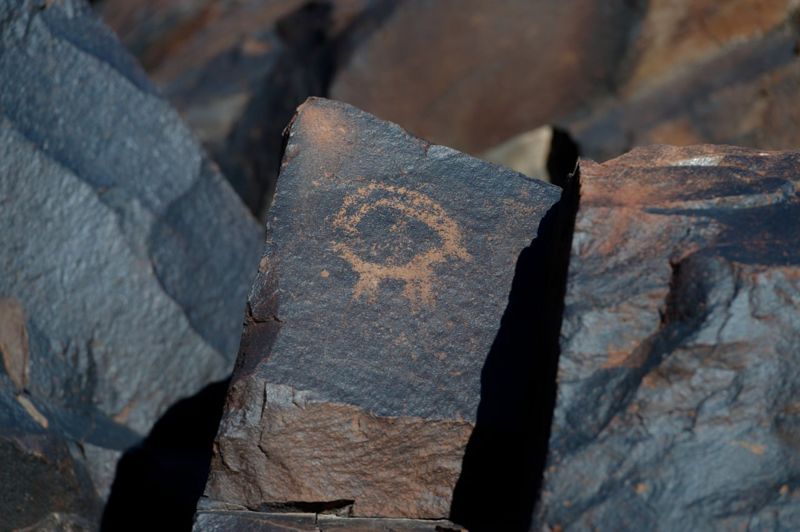 В Алтын-Эмеле нашли неизвестные петроглифы