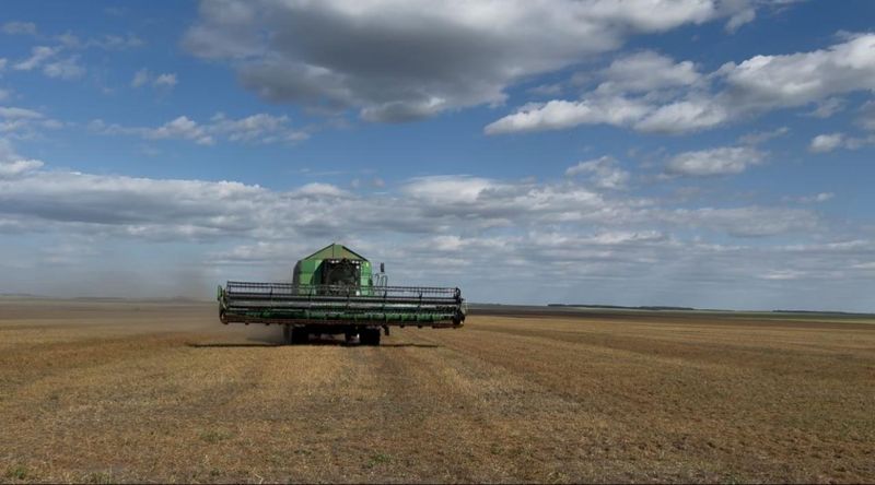 В ЗКО в госсобственность возвратили 3,5 тысячи гектаров сельхозземель