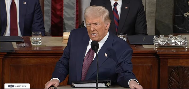 Письмо Зеленского и сделка по редкоземельным металлам: о чём говорил Трамп перед Конгрессом