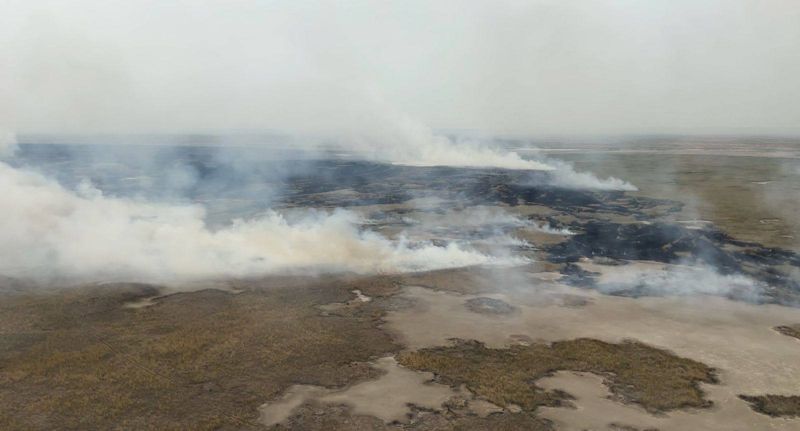 В «Акжайык» потушили пожар: он стал самым долгим в истории резервата