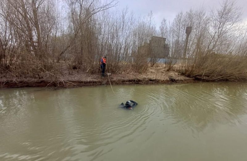 Нырнул и не выплыл: мужчину ищут в реке Павлодарской области