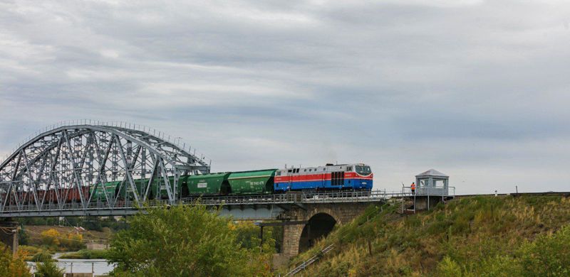 Задержки на границе: блогер нашёл "узкое место" в экспорте казахстанского зерна