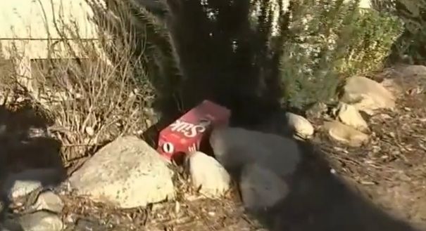 Молоком и пивом спас мужчина дома в горящем районе Лос-Анджелеса