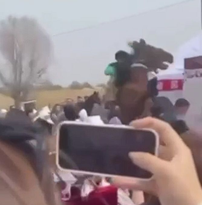 Лошадь потоптала зрителей - еще одно происшествие на праздновании Наурыза зафиксировали в Жамбылской области