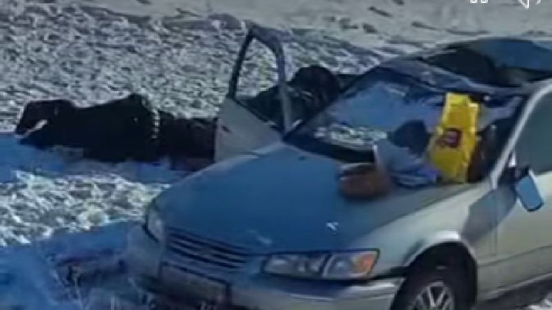 Хотел сделать сюрприз маме: двое молодых парней погибли на трассе в области Улытау