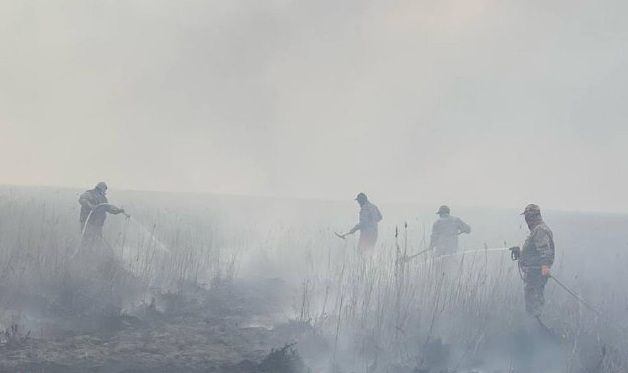 Около 500 га сухостоя сгорело вблизи природного резервата "Акжайык"