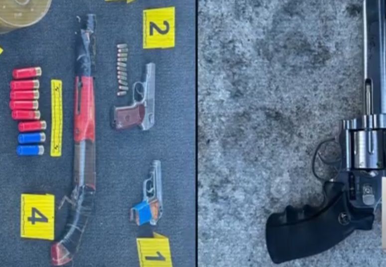 Спецоперация по оружию: криминогенную обстановку оздоравливают в Казахстане - МВД