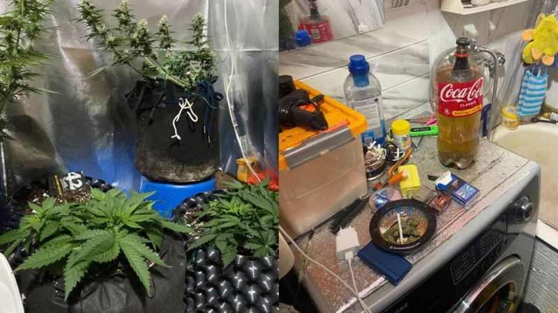 В Степногорске отец пятерых детей выращивал дома коноплю