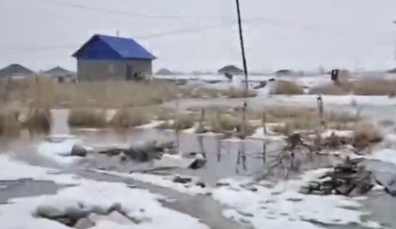 Дворы подтопило в селе Алматинской области из-за открытого шлюза