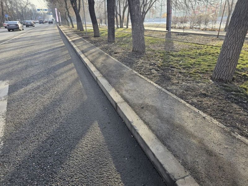 Алматыда қарды сапалы тазартуға көмектесетін тротуарлар болады