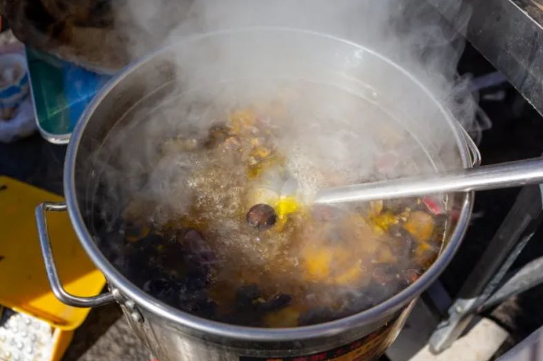 В Индии около 100 детей отравились супом со змеёй