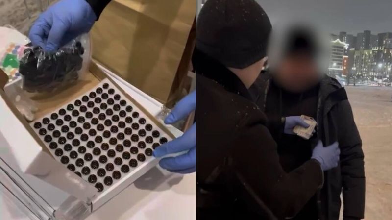 Крупную партию гашишного масла нашли дома у астанчанина