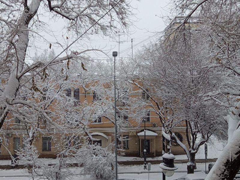 Снег в Алматы: за сутки в мегаполисе выпала половина месячной нормы осадков