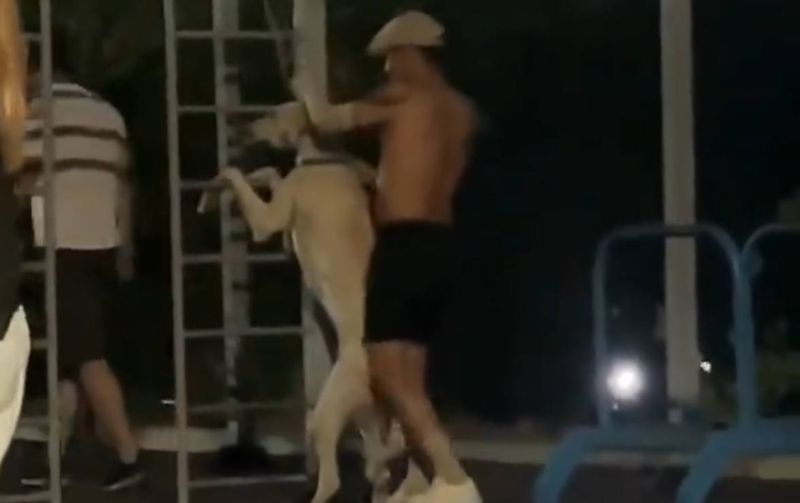 Мужчина привязал собаку цепью к турнику на детской площадке в Алматы