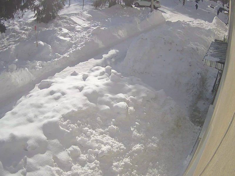 Житель ВКО ударил женщину глыбой льда, обокрал её и получил домашний арест