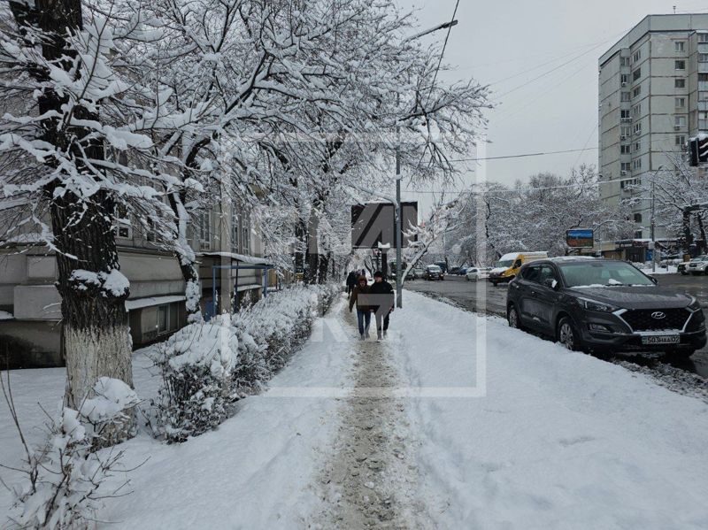 Синоптики предупредили казахстанцев о метелях и заморозках