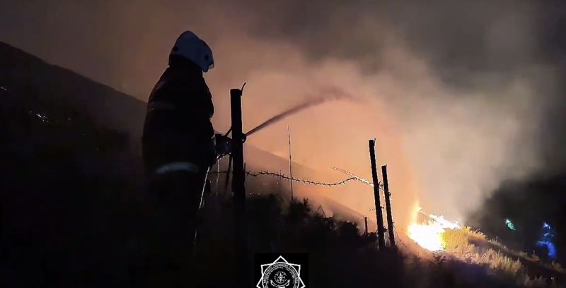 Крупный пожар на горном склоне потушили в Алматы