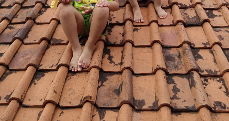 Дети забрались на крышу частного сада в Алматинской области: виновных привлекли к ответственности