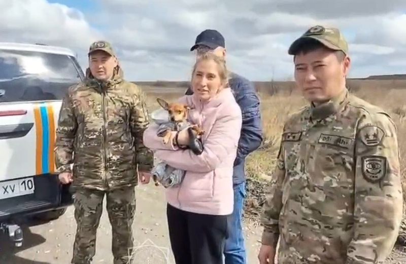 "Заведи собачку" - прогулка с питомцем закончилась грязевой ванной для семьи из Костанайской области