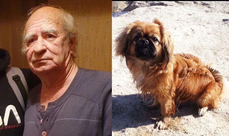 Дедушка с собачкой пропал в Актау