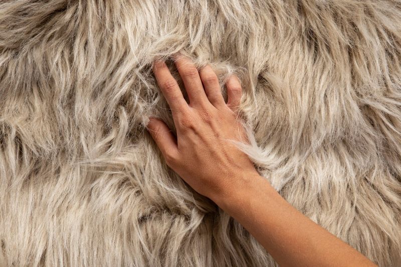 Таможенные пошлины на вывоз шкур и шерсти отменят в Казахстане