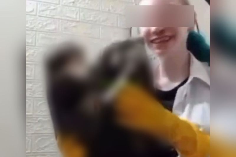 Достала из морозилки кота: в ВКО девушка опубликовала жуткие видео