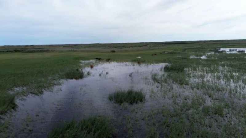 Впервые за 10 лет в озеро Караколь пришла вода