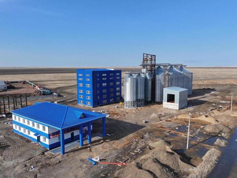Завод хлопьев и круп за 3 млрд тенге откроется в СКО в сентябре 2025 года