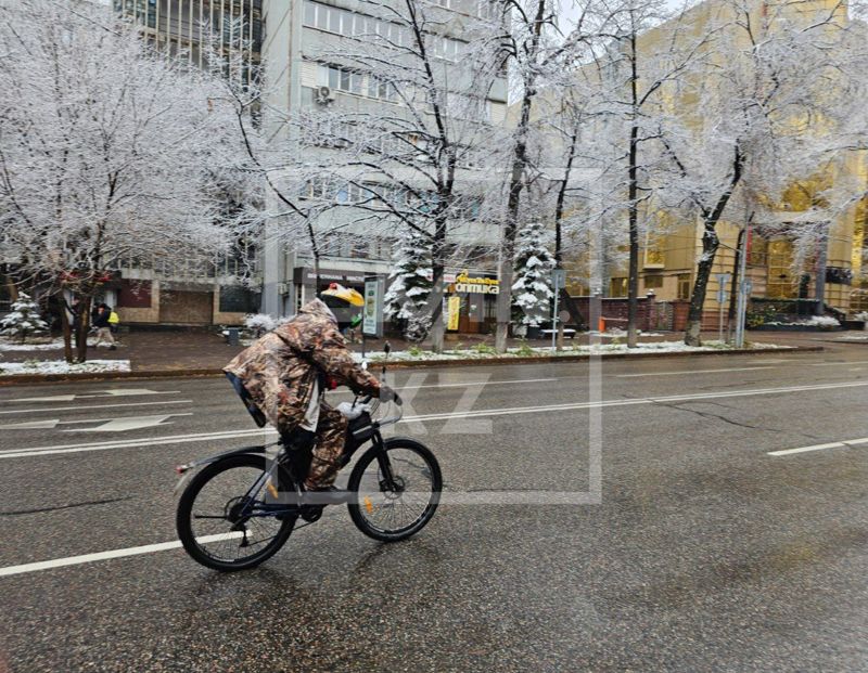 Более 20 км велодорожек откроют в Алматы в 2025 году