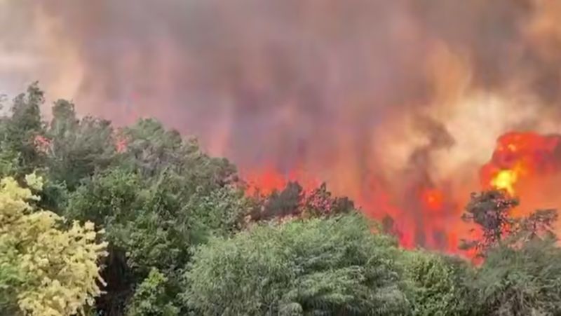 Самые масштабные в истории: пожары взяли в кольцо Иерусалим