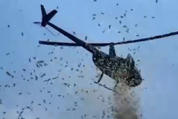 Доллары посыпались с неба в американском Детройте