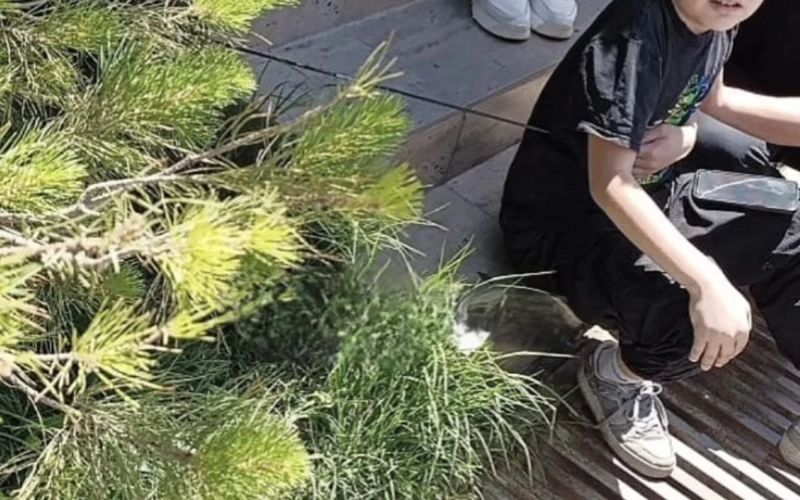 Стрела из лука вонзилась в спину мальчика в Шымкенте