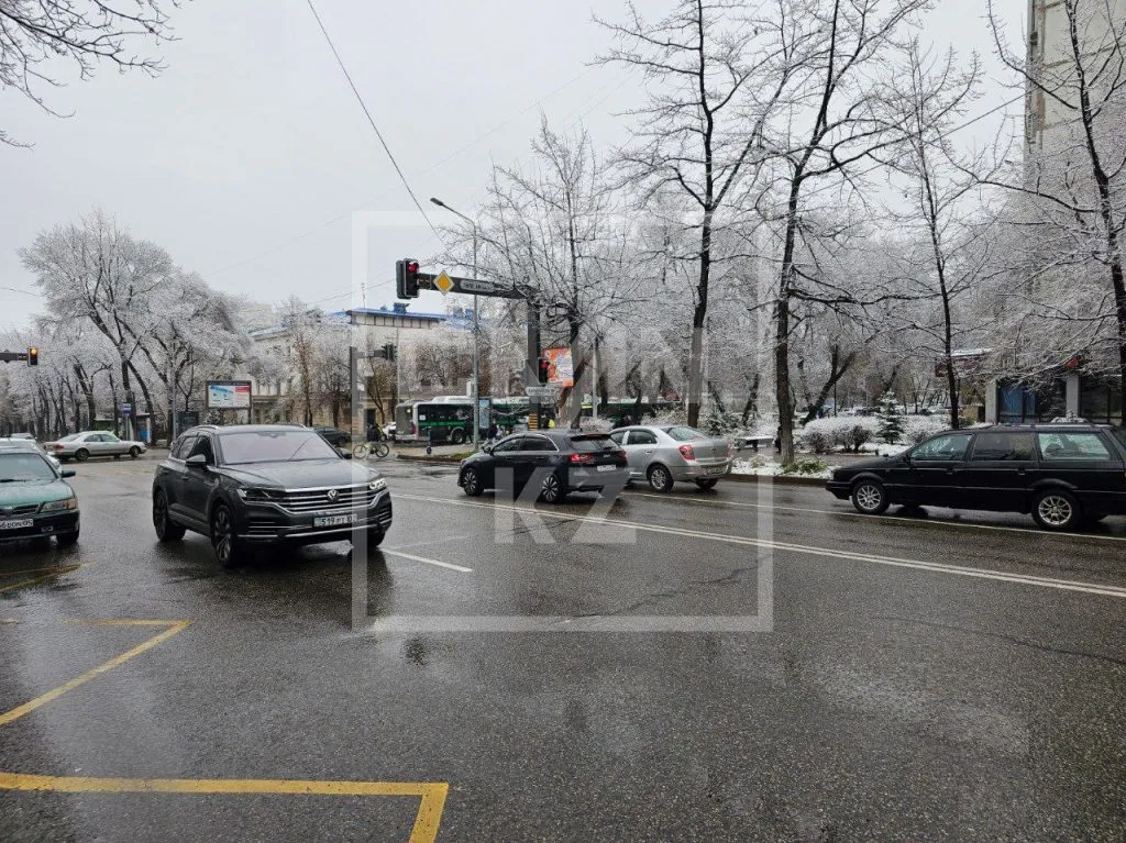 Зима Алматы дорога светофор пешеход машины