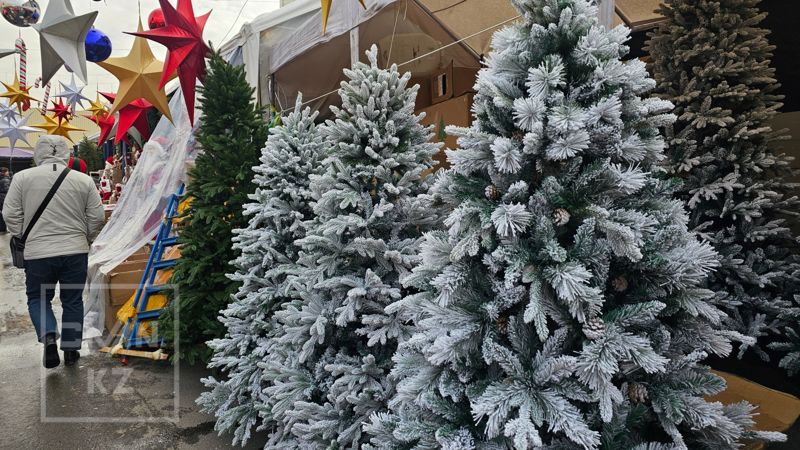 Тёплая неделя в Алматы: до +15 °C и редкие капризы погоды