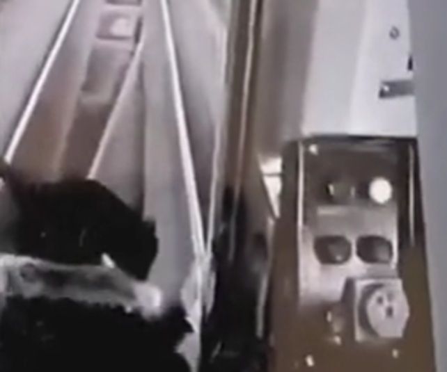 Поезд в метро угнали трое неизвестных в Нью-Йорке