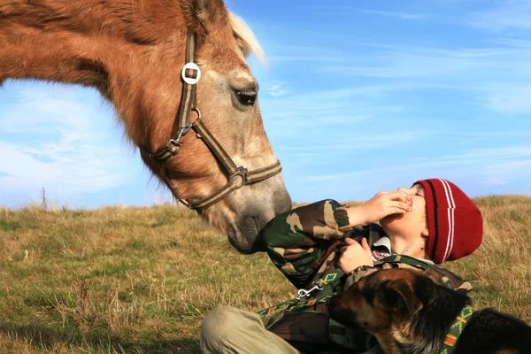 Девятилетний мальчик пострадал при падении с лошади в Акмолинской области