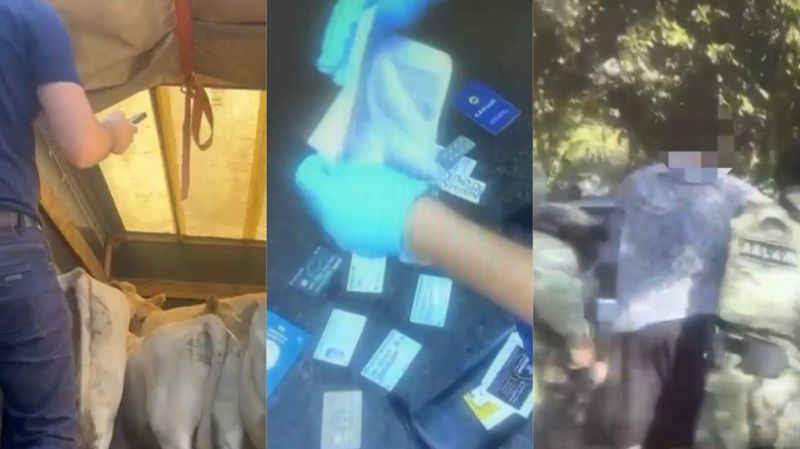 Серийных скотокрадов поймали в области Жетысу