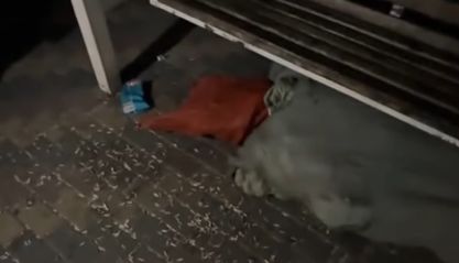 Лежал в мешке под качелями и не шевелился: в Алматы нашли странного мужчину