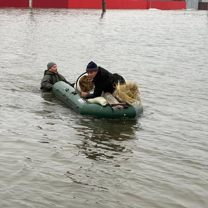 Паводки сместились на запад: где сейчас самая напряжённая ситуация?