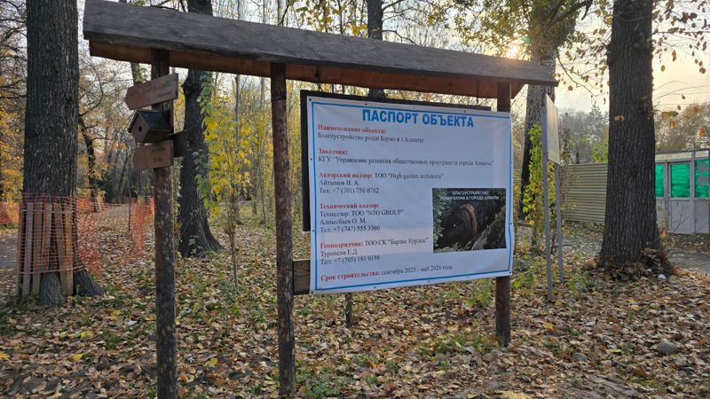 Вырубка деревьев в алматинской роще Баума: стали известны новые подробности