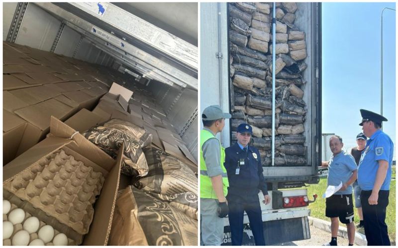 30 тонн яиц без документов: на границе с РФ пресекли контрабанду в Казахстан