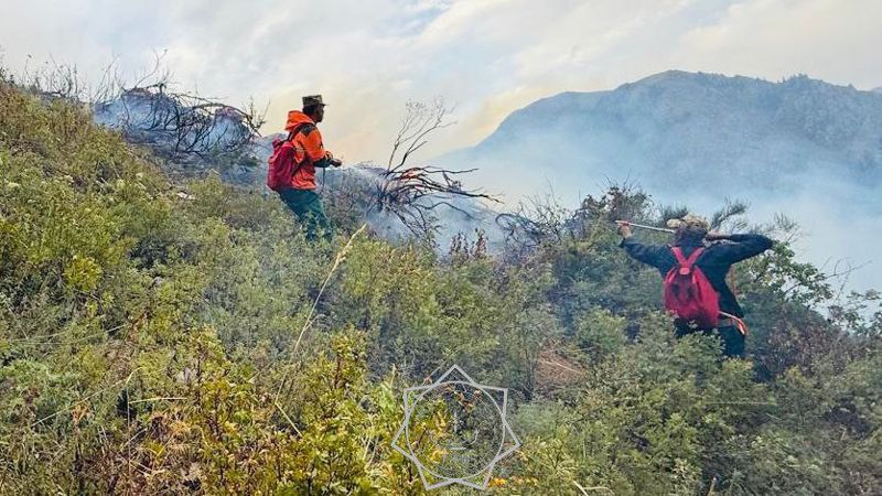 Лесной пожар в Алакольском районе локализован