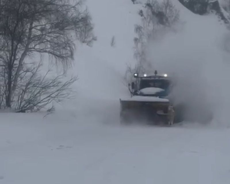 Лавина сошла в Восточно-Казахстанской области