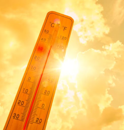 Жару до 40 градусов прогнозируют в центральных и южных регионах Казахстана