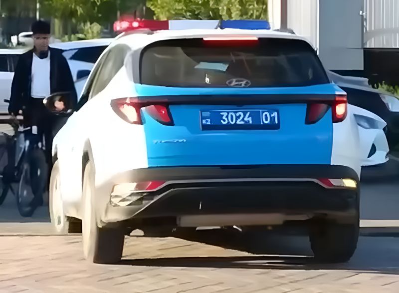 Полицейский на служебном авто проехал по Ботаническому саду в Астане