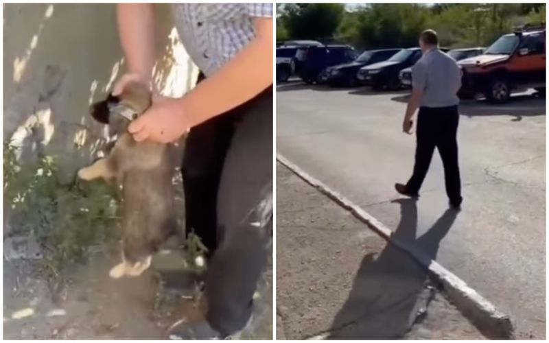 Мужчина попытался зарезать щенка в Карагандинской области