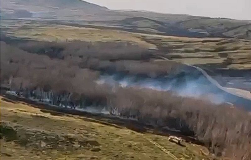 Пожар разгорелся в лесничестве Карагандинской области