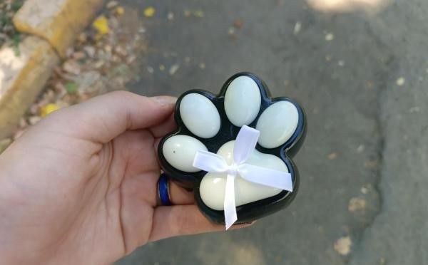 Кукла LOL и лапка: столичные специалисты обнаружили опасные игрушки